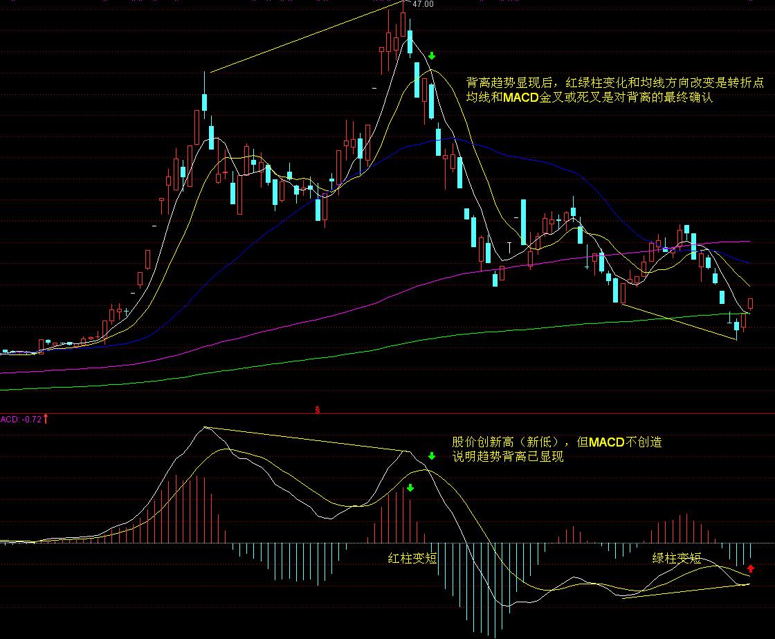 港北区:特色产业链点燃新质生产力引擎